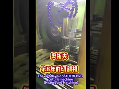 Die Autoschneidmaschine des achten Jahres von AUTOFOR